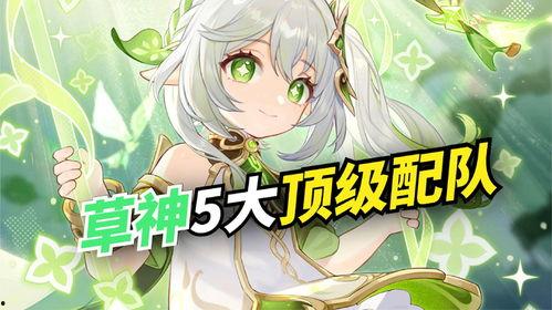 草神爆料动画视频大全集,揭秘神秘力量与奇幻冒险的视觉盛宴