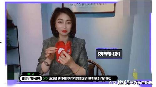 娟宝爆料视频大全集最新,揭秘娱乐圈幕后真相
