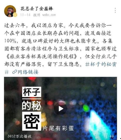 泄露爆料的视频,视频泄露事件背后的惊人真相