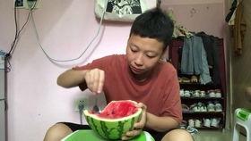 网红吃瓜小羊没烦恼吃瓜网视频,揭秘吃瓜网热门视频背后的故事