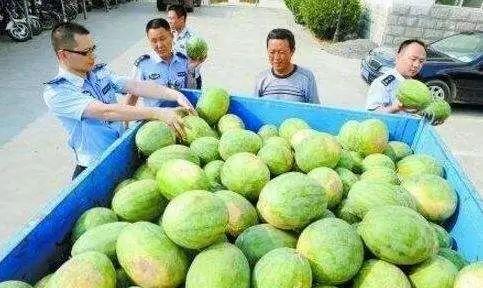 康县网红 吃瓜群微信,揭秘网络社交新现象