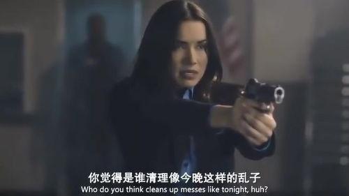 黑色的子弹在线观看,暗影狙击者的复仇之旅