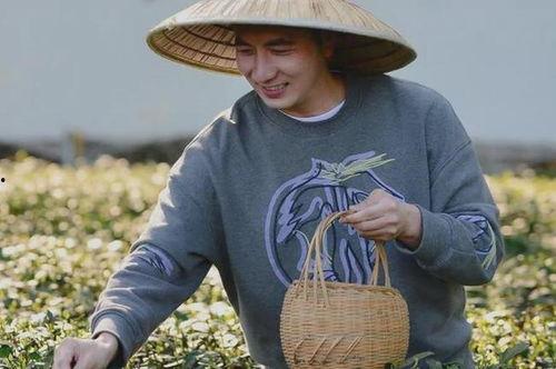 爆料视频林生斌在线观看,林生斌在线观看爆料视频引发热议