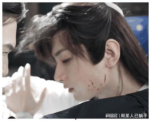 成毅娱乐消息爆料视频大全,视频大全揭秘幕后故事
